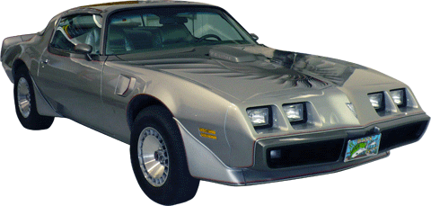 Miami Muscle - 1979 Pontiac Trans Am