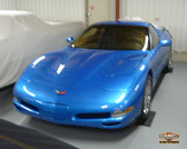 Miami Muscle - 1999 Chevy Corvette